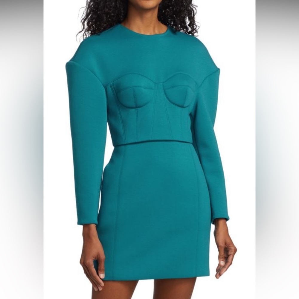 Brand new Aknvas mini dress